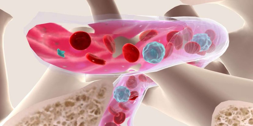Eritropoetina e produção de glóbulos vermelhos: Desvendando o processo