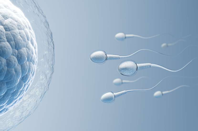 Kyleena e fertilidade: O que esperar após a remoção do dispositivo